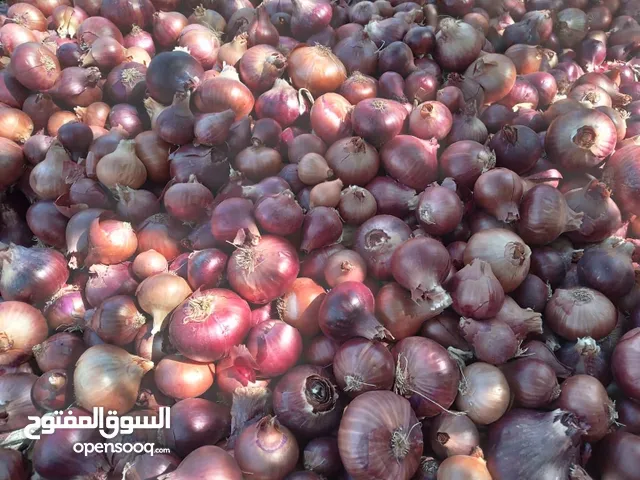 بصل مواني للبيع اربد لواء الوسطيه كفرعان الشوال 10 كليو ب 4 دنانير فقط