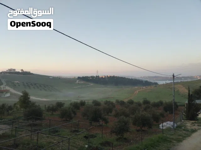 Farm Land for Sale in Mafraq Rhab