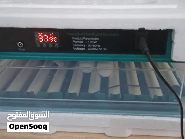 فقاسة 72 صينية