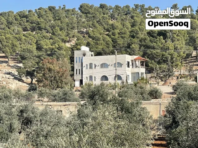 More than 6 bedrooms Chalet for Rent in Jerash Other