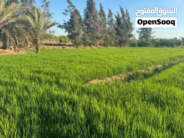 Mixed Use Land for Sale in Dakahlia New Mansoura