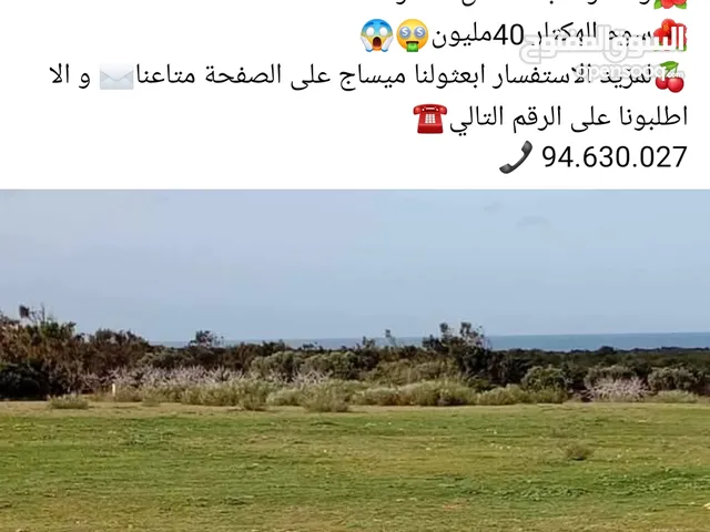100 هكتار للبيع في قفصه