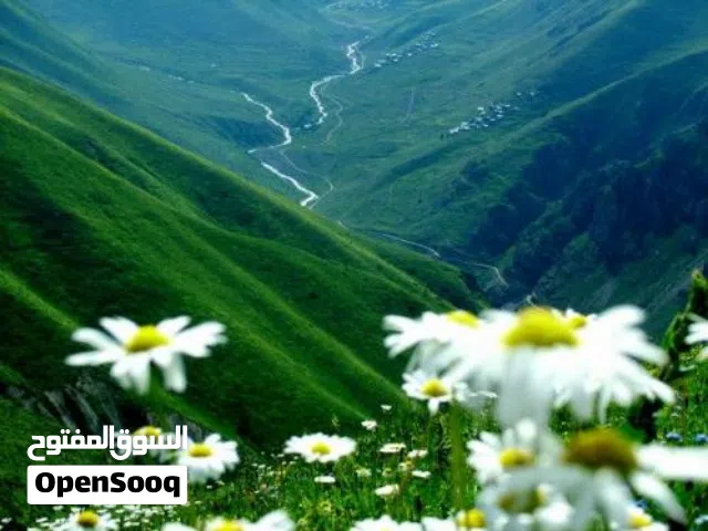 قطعة ارض مساحتها 9000.م  هكتار الا   /// حى الخويبية ///....