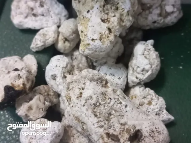 عنبر الحوت الطبيعي و المسك و ادهان العود الفاخرة من عزان للعود بأسعار مميزه التواصل خاص 71592991
