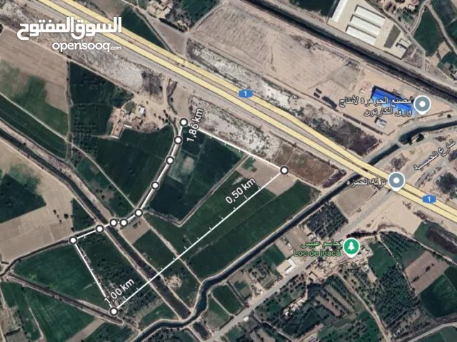 ارض زراعيه وتجاريه ( لانشاء مصنع او معمل )(40دونم)-مباشرتا على السريع الدولي الرئيسي بغداد- حلة