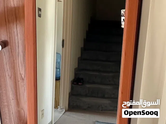 Long mirror