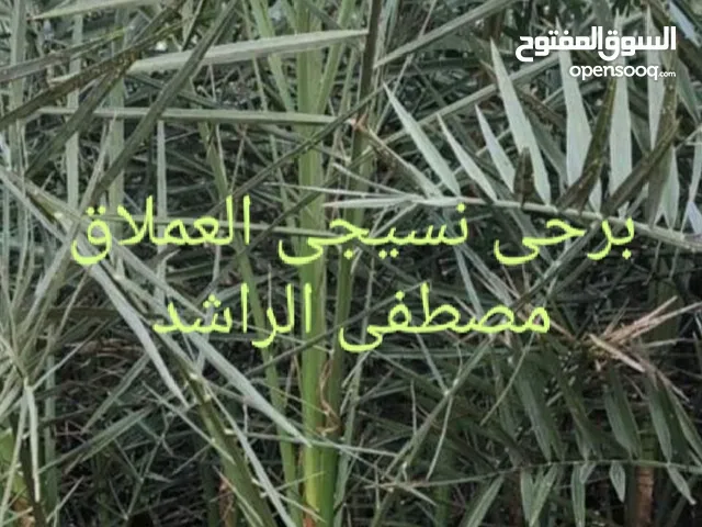 برحي نسيجي خرايف