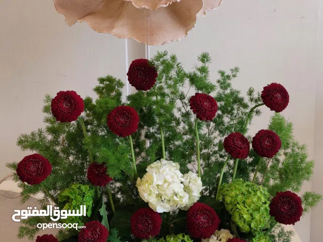 منسق ورود للمناسبات والاستقبال والمواليد تنسيق