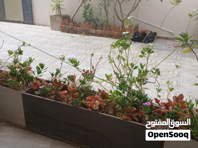 عمارة سكنية في الحشان