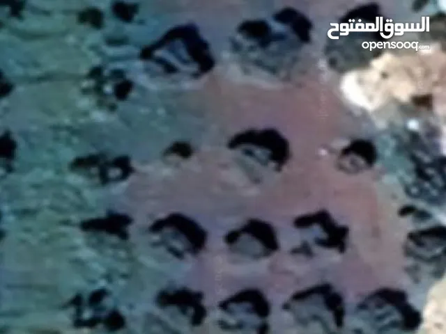 ارض للبيع الدلم ع حساب 55الف