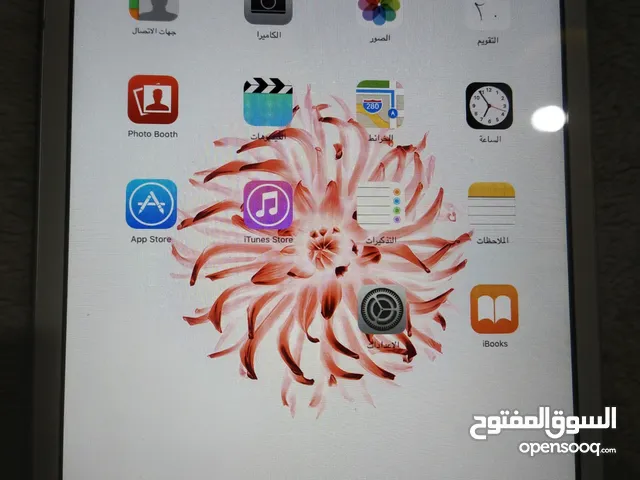 Apple iPad 512 GB in Amman