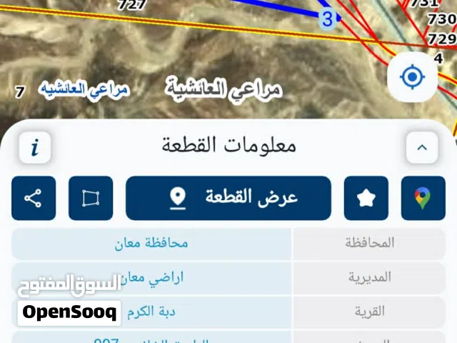 Mixed Use Land for Sale in Ma'an Ma'an Qasabah
