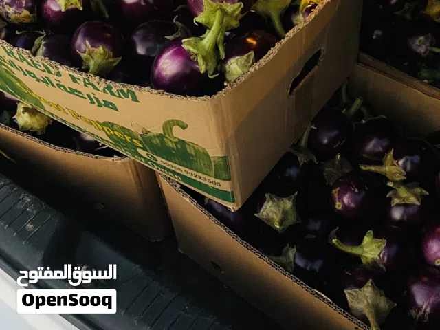 بيذنجان طازج