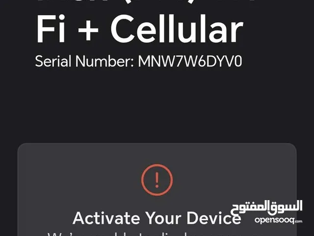 Ipad pro m4 256 giga wifi+ esim