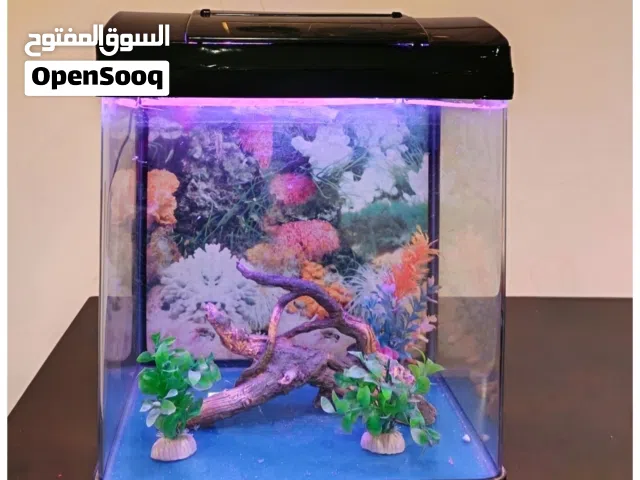 Premium LED Fish Aquarium – Ready to Use!