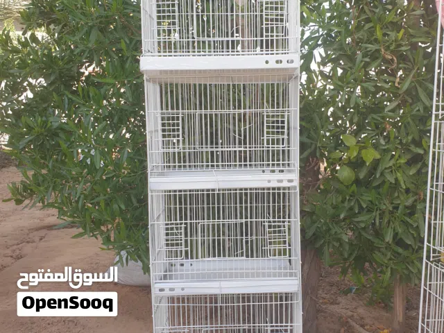 سلاكة تجهيز ذكور كناري