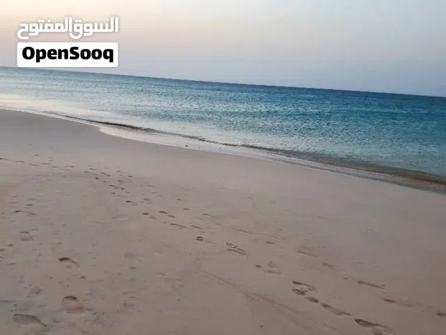 Commercial Land for Rent in Socotra Other