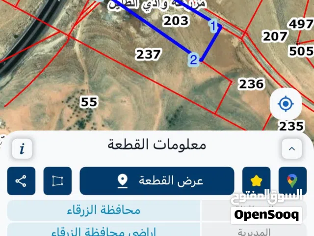 ارض بالظليل مساحة 12 دونم على الشارع الرئيسي