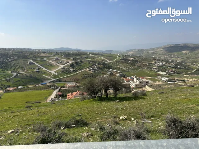 Farm Land for Sale in Zarqa Al-Kamsha