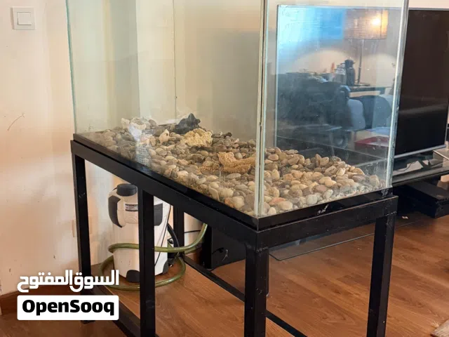 Large Glass Fish Tank with Stand & External Filter