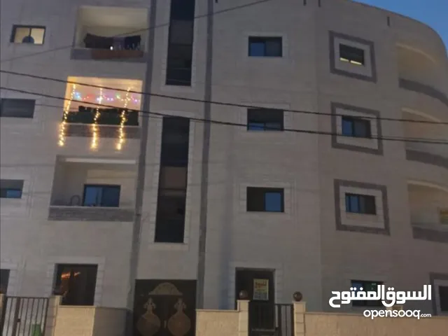 شقه للبيع بالزرقاء الهاشميه بسعر مغري كاش أو أقساط بدون وساطه البنوك