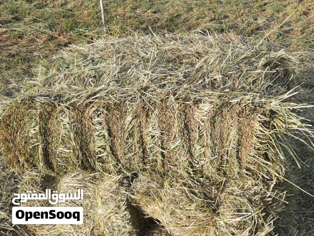 اعلاف حشيش برايد للبيع ناعم الحجم 5 اشبار عدد مفتوح ل 600