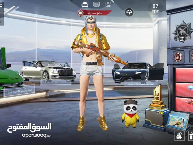 Pubg Accounts and Characters for Sale in Abu Dhabi