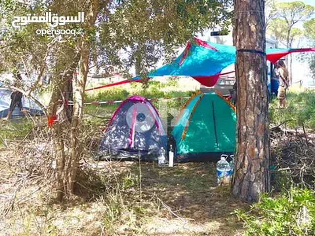 Tent for 2 Person. Band new, never opened