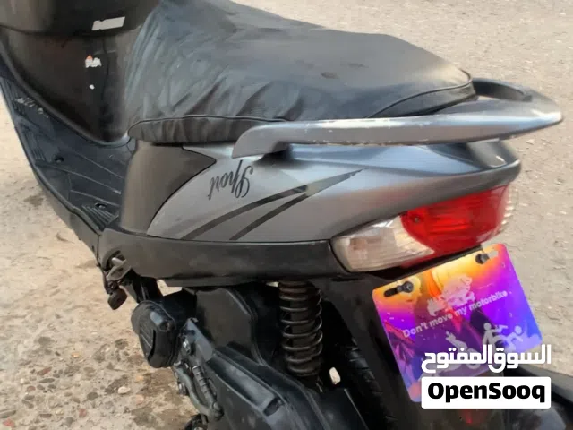 2010 Yamaha Other