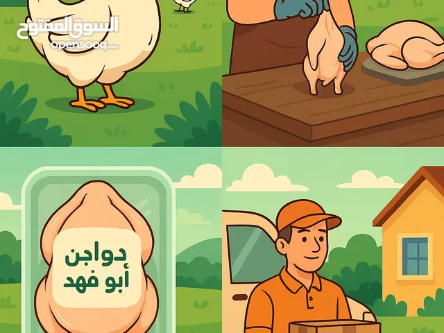 دجاج لاحم ذبح تنظيف تقطيع وتوصيل