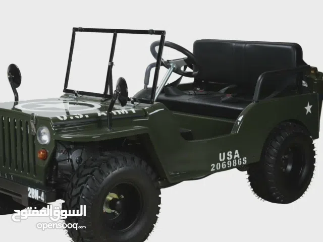 mini jeep buggy petrolcar