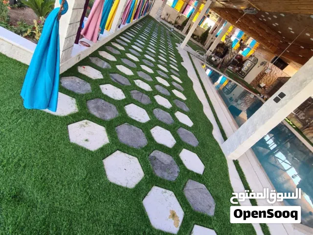 عشب ونجيل صناعي  باقل الاسعار واعلى المواصفات  بلجيكي  فيتنامي  صيني  اردني  اماراتي  خامات والوان