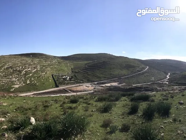 Farm Land for Sale in Irbid Al Husn