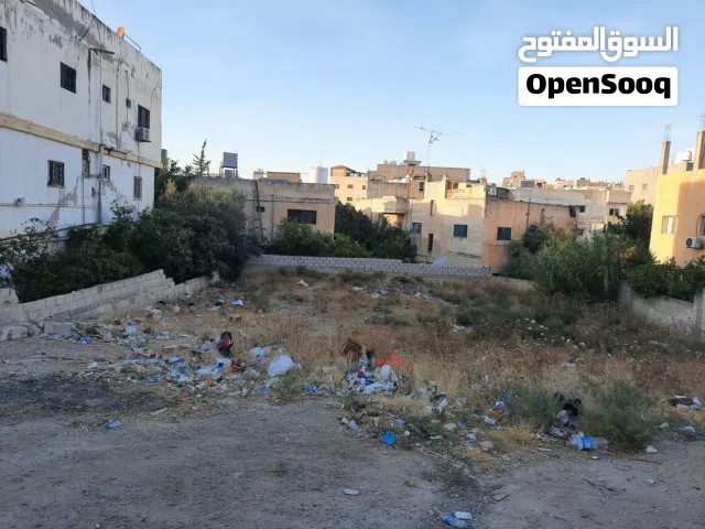 ارض سكنية للبيع في عين الباشا خلف المركز الصحي والمدارس والبلدية  مخدومة 100 %