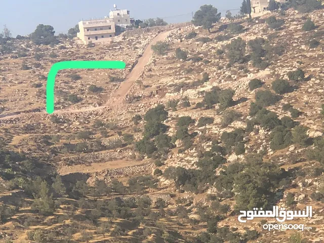 أراضي للبيع