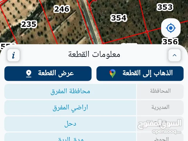 3 قطع مزارع زيتون بقواشين مستقله ليست بحاجة لشيء مسوره وجاهزه للبيع بداعي السفر