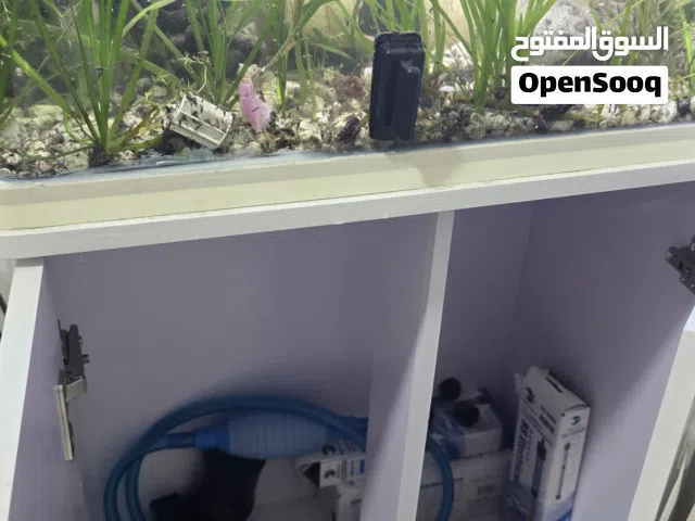 FISHTANKS FOR SALE - GOOD  حوض سمك بمشتملاتة
