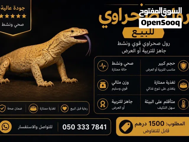 للبيع حيوان بري (تربيه)