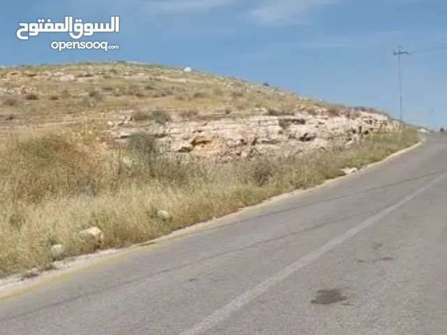 Farm Land for Sale in Mafraq Bala'ama