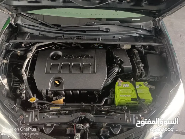 Toyota Corolla LE 2014 model