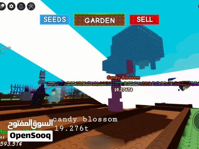 حساب كاندي بلوسم  candy blossom account