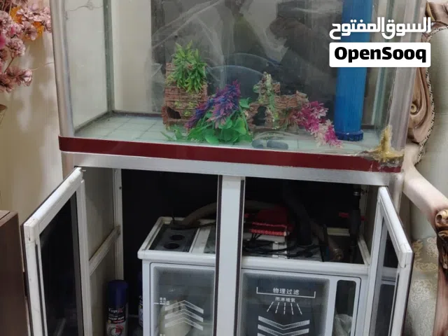 حوض سمك كبير