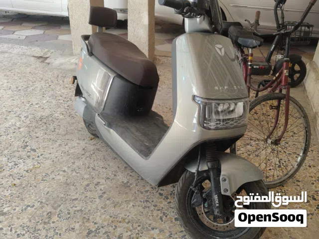 2025 اخرى اخرى