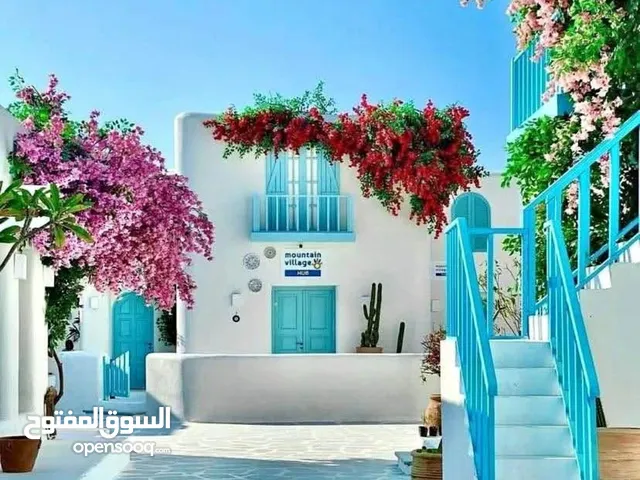 mountain view palge الساحل