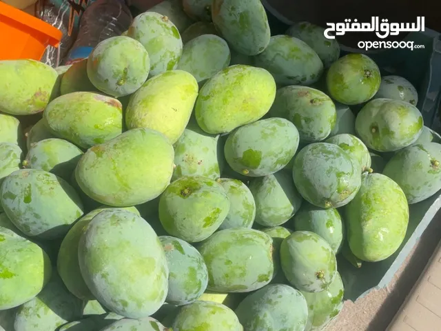 امبا غض للبيع 20 كيلو ب 5 ريال