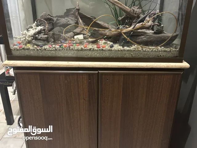 حوض سمك زينة مع دولاب