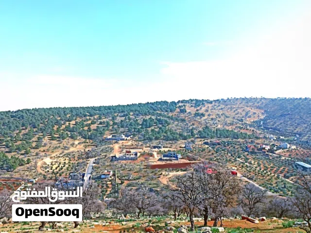Farm Land for Sale in Zarqa Al-Alouk