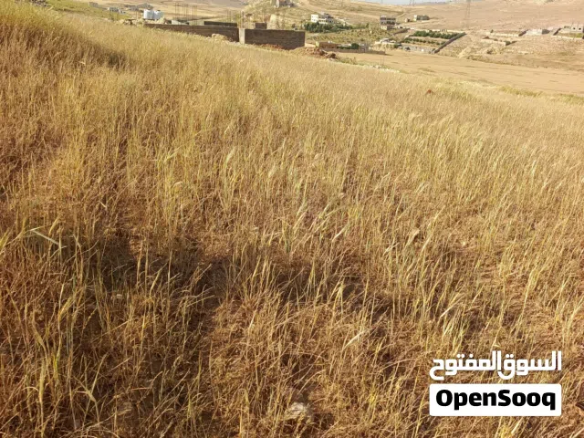 قطعة أرض للبيع بسعر مغري