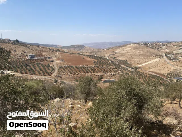 Mixed Use Land for Sale in Zarqa Al-Kamsha