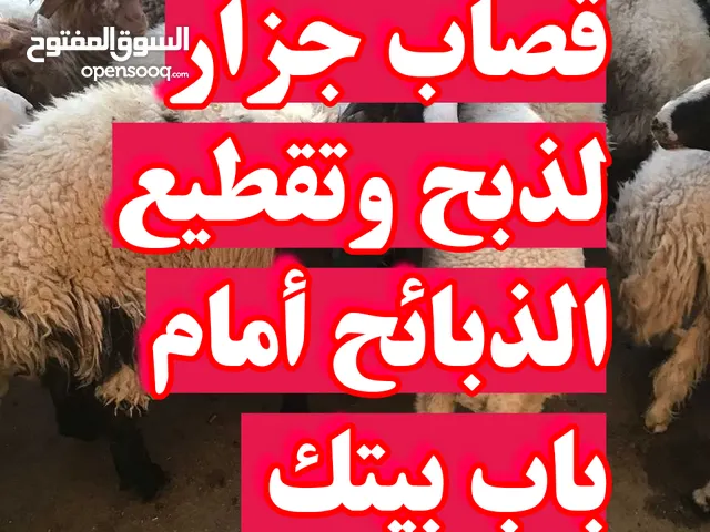 قصاب جزار متنقل تحت الطلب